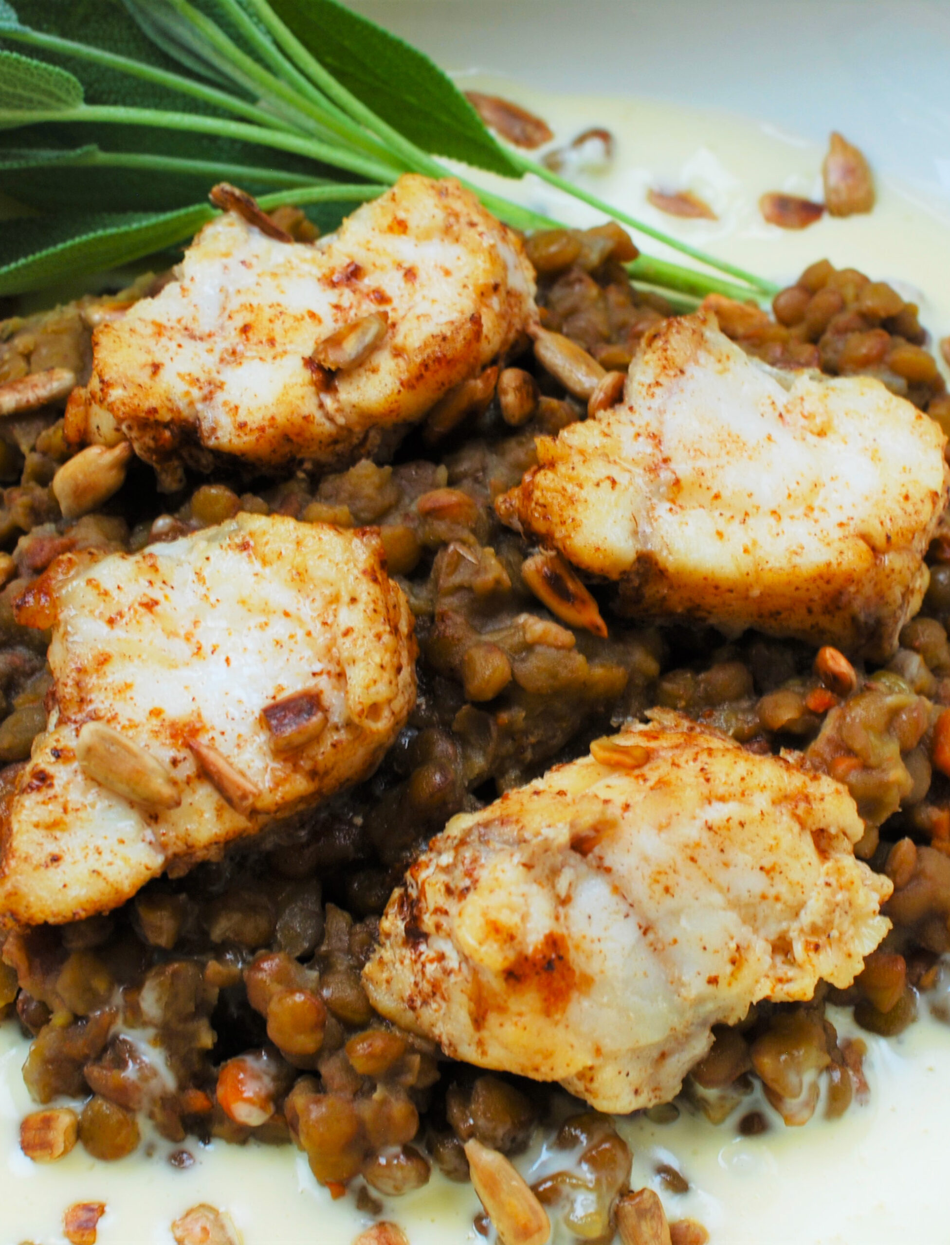 Monkfish Medallions with Lentils and Chaource Cream - Women of Today