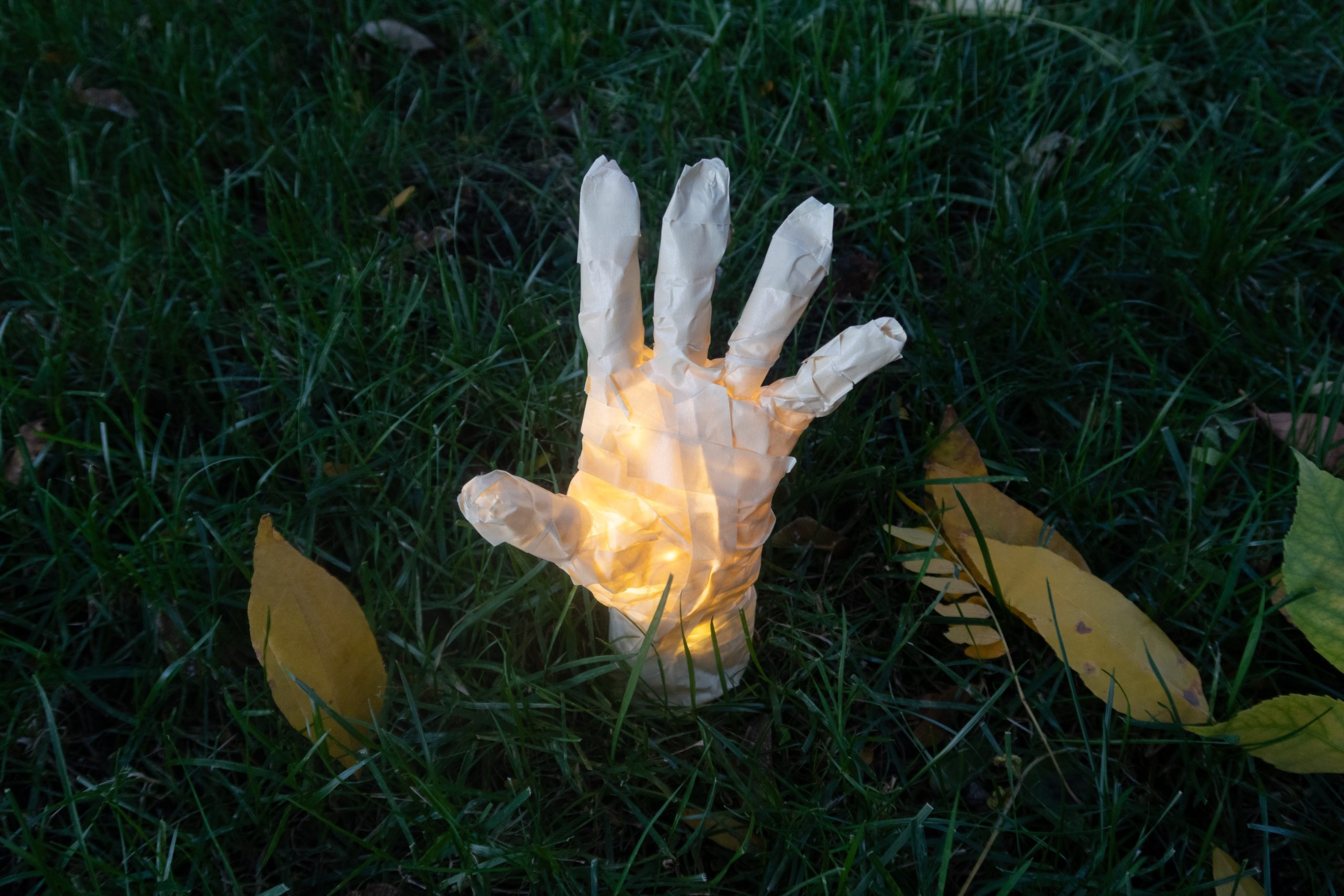 Mão de múmia brilhante, image size:2560x1707