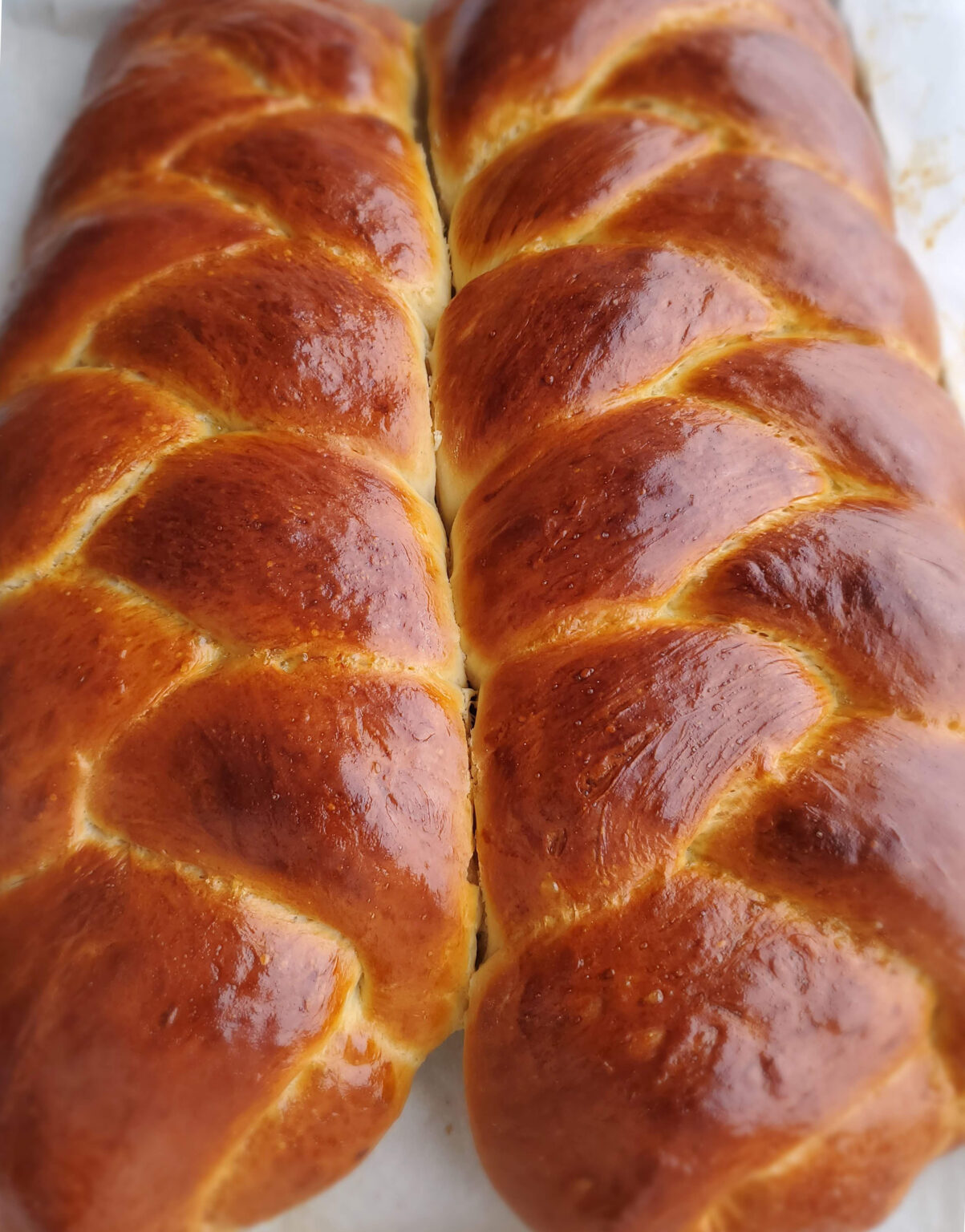 Challah Bread Women of Today