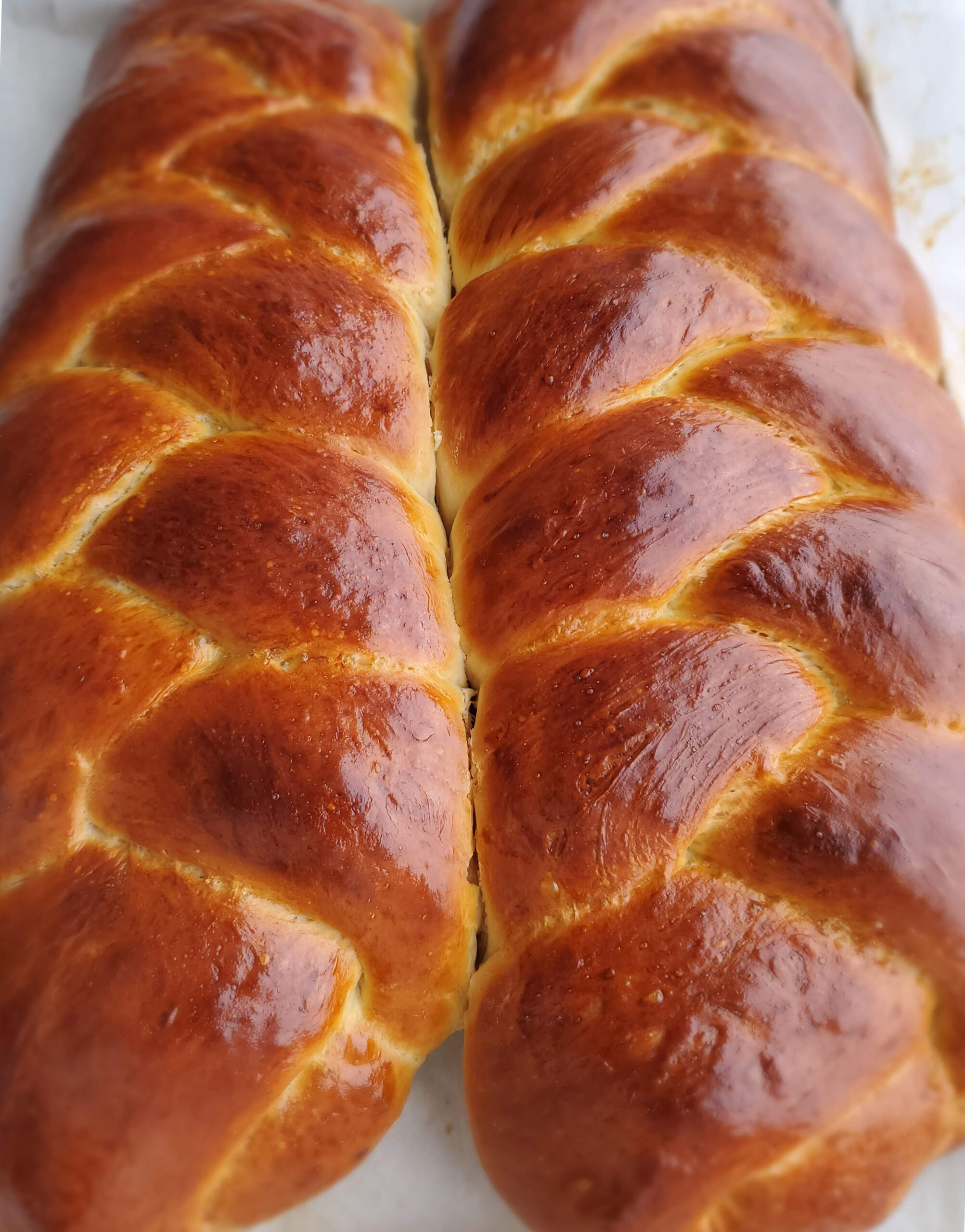 Challah Bread Women of Today