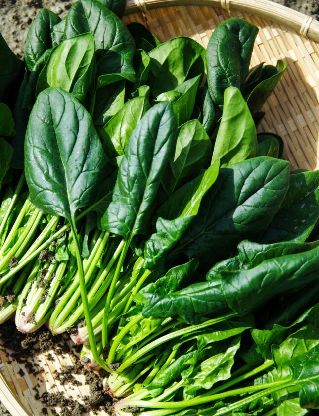 WOT 3 Ways to Add More Greens Into Your Week