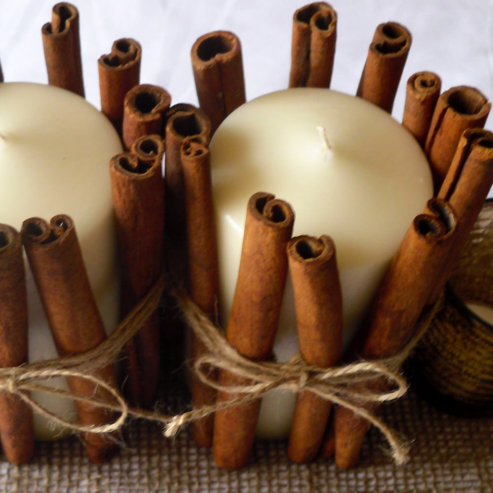 Learn How to Make Your Own Cinnamon Stick Candles! Women of Today